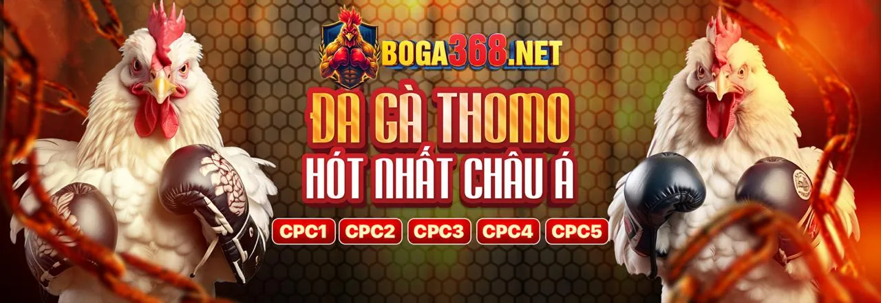Đá Gà Trực Tuyến qh88ski Đăng Nhập